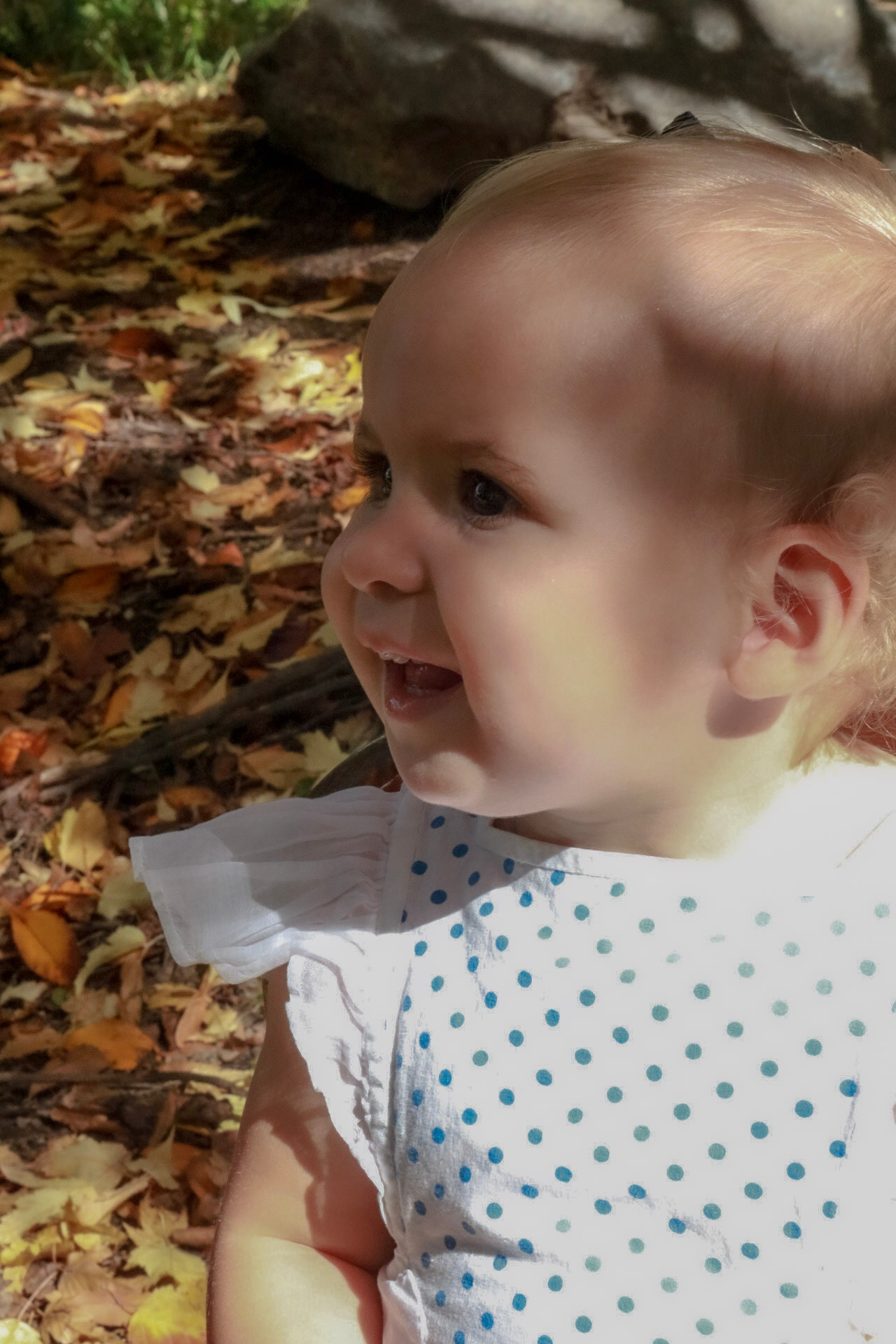 Baby portrait in autumn leaves